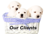 Our Clients