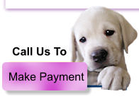Make Payment Call Us To