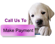 Make Payment Call Us To