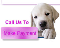 Make Payment Call Us To