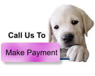 Make Payment Call Us To