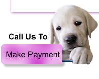 Make Payment Call Us To