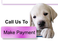Make Payment Call Us To